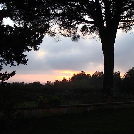 Ai Cipressi Bed & Breakfast Salemi Екстериор снимка